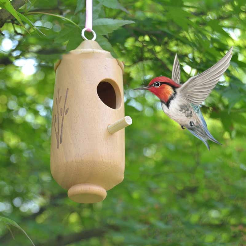 Discover the Charm of the Hummingbird Hanging Swing Bird Nest