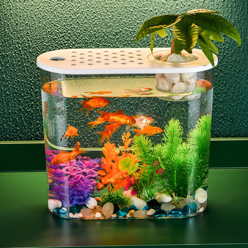 Discover the Acrylic Transparent Ecological Incubator Goldfish Tank