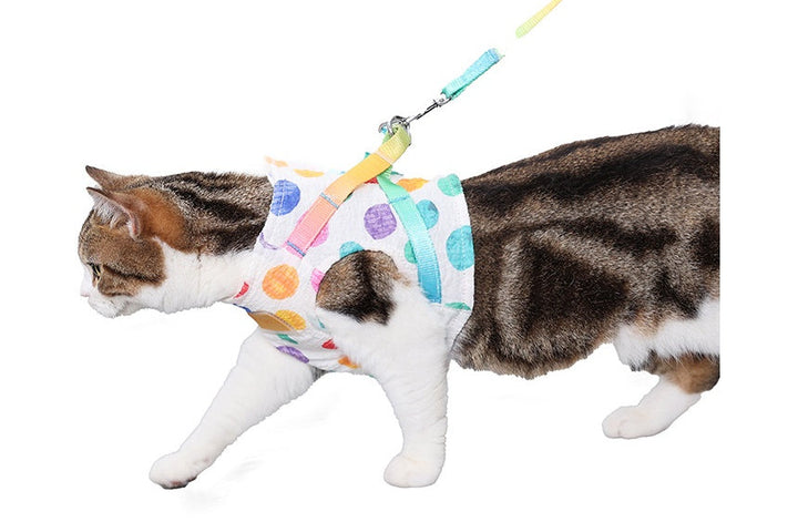 Discover the Perfect Leash for Your Medium-Sized Dog