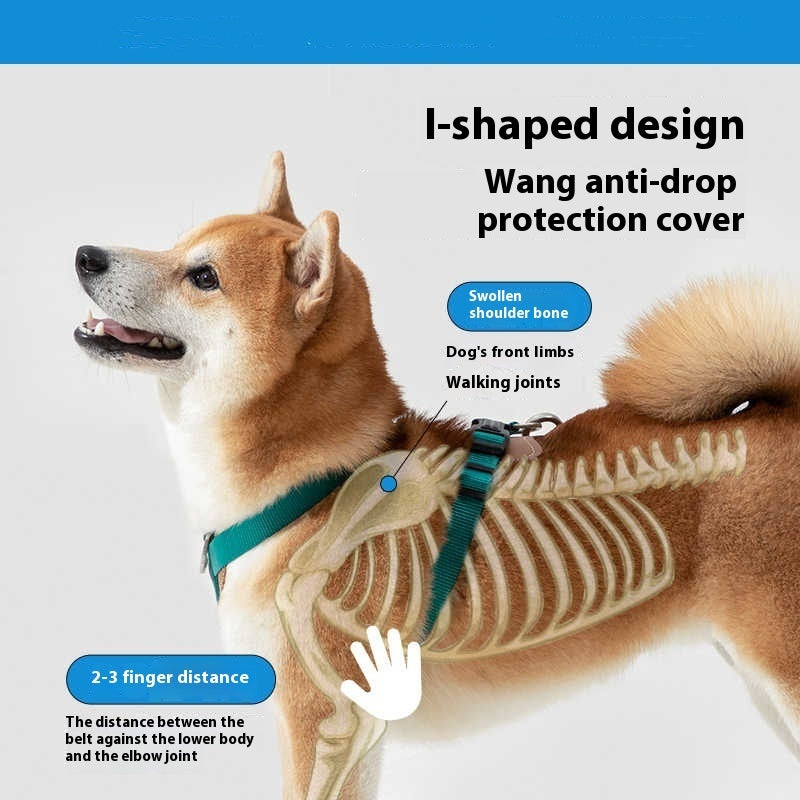 Dog Rope Leash Multi Hold Possitions Explosion-proof