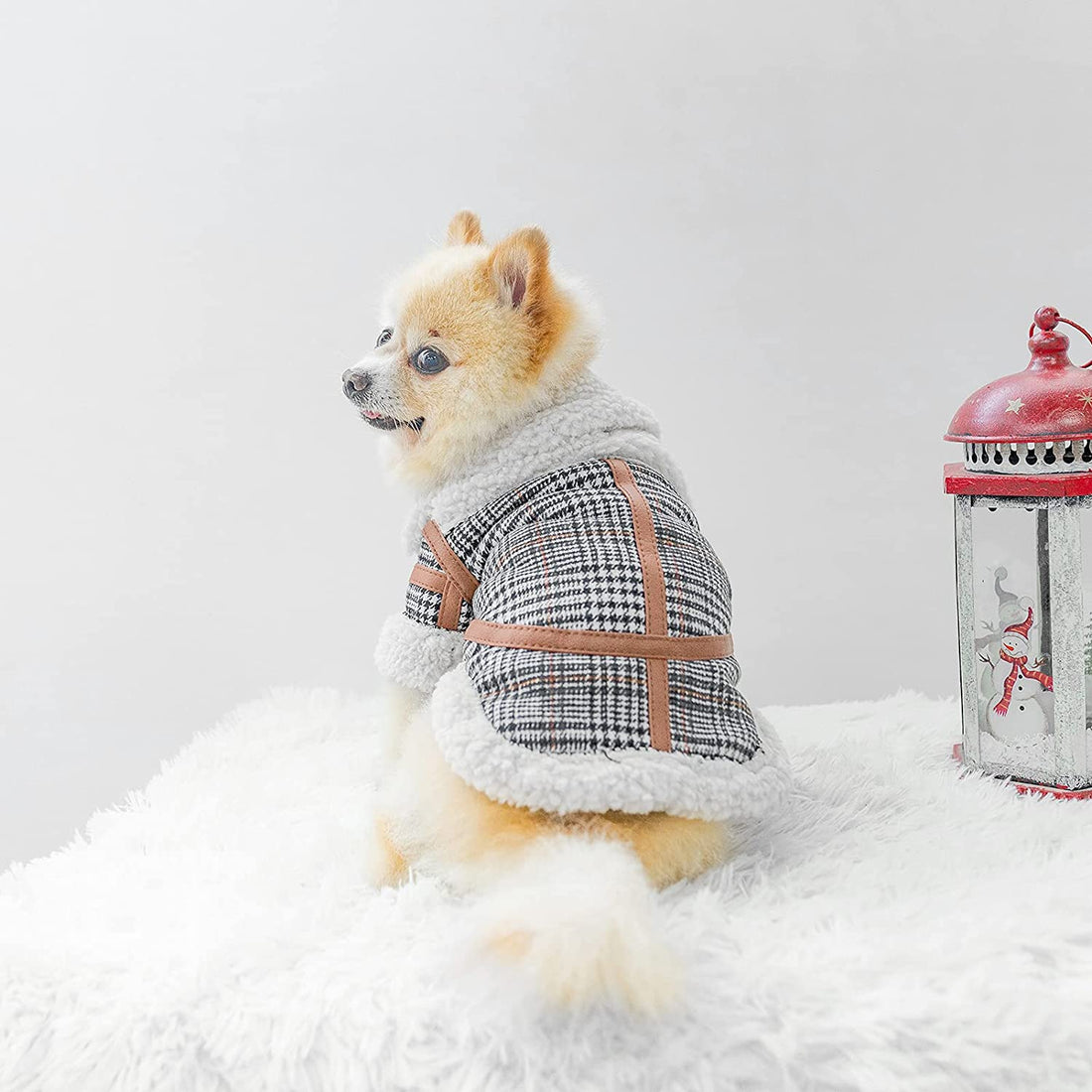 Pet Clothes Autumn