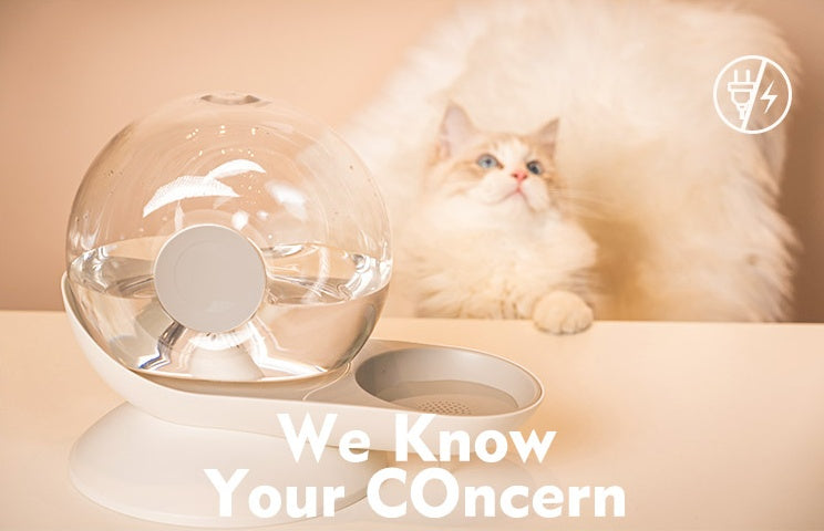 Cat drinking fountain filtering automatic drinking fountain