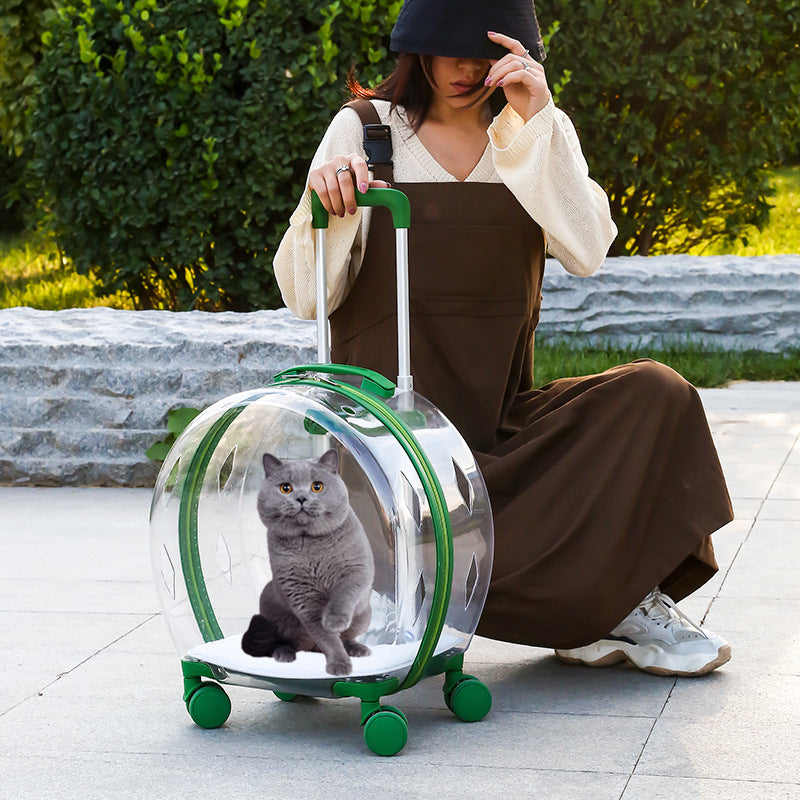 Pet Trolley Bag with Shoulder Strap