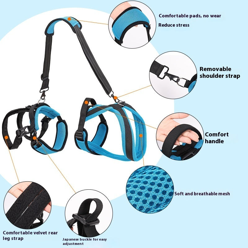 Pet Supplies Dog Auxiliary Strap