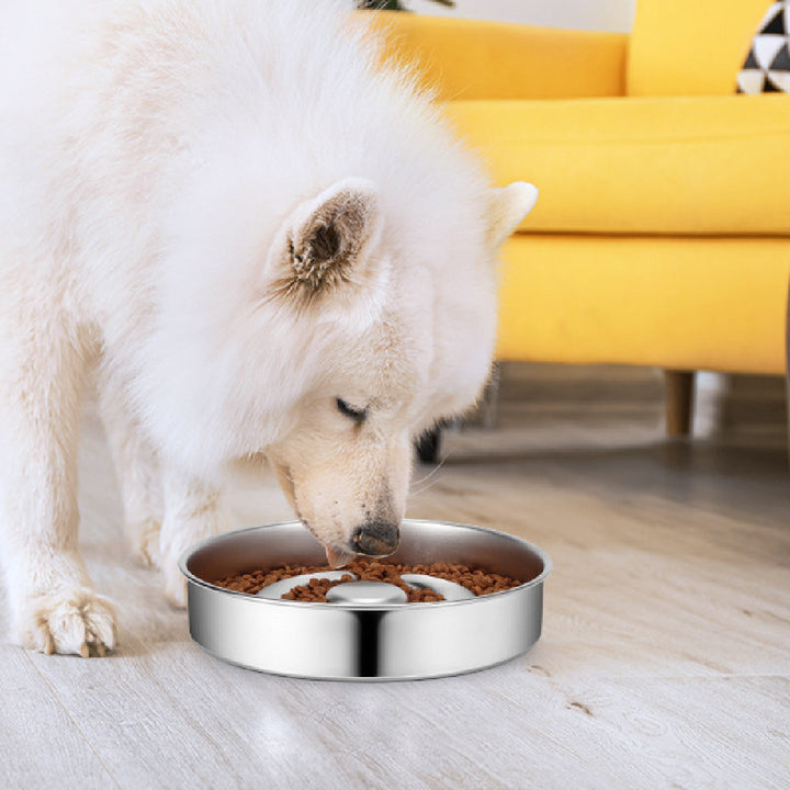 Pet Slow Feeding Bowl Stainless Steel