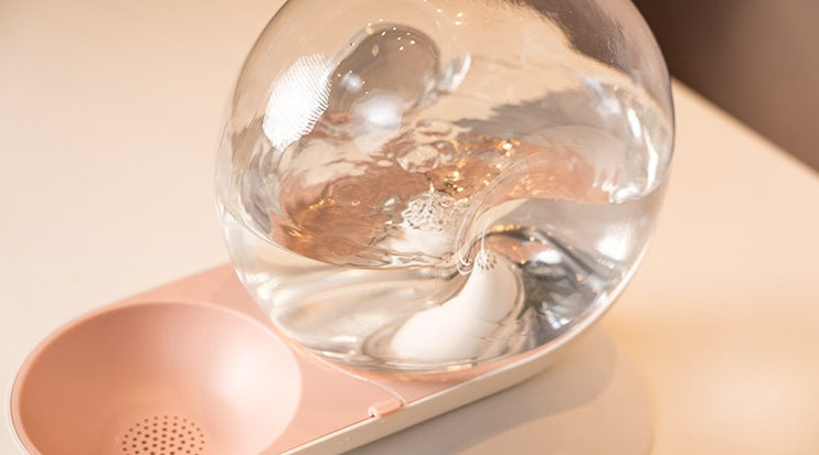 Cat drinking fountain filtering automatic drinking fountain