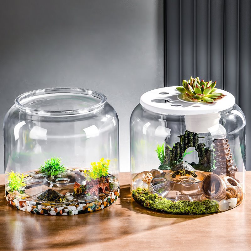 Transparent Plastic Ecological Desktop