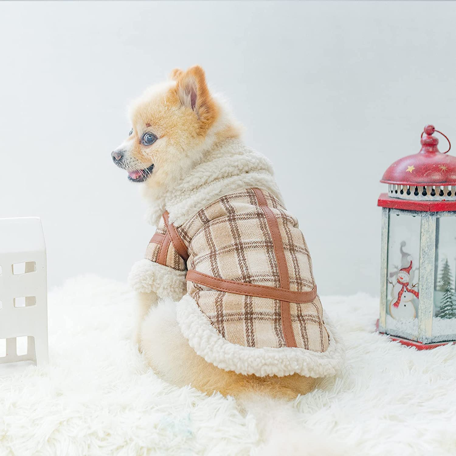 Pet Clothes Autumn