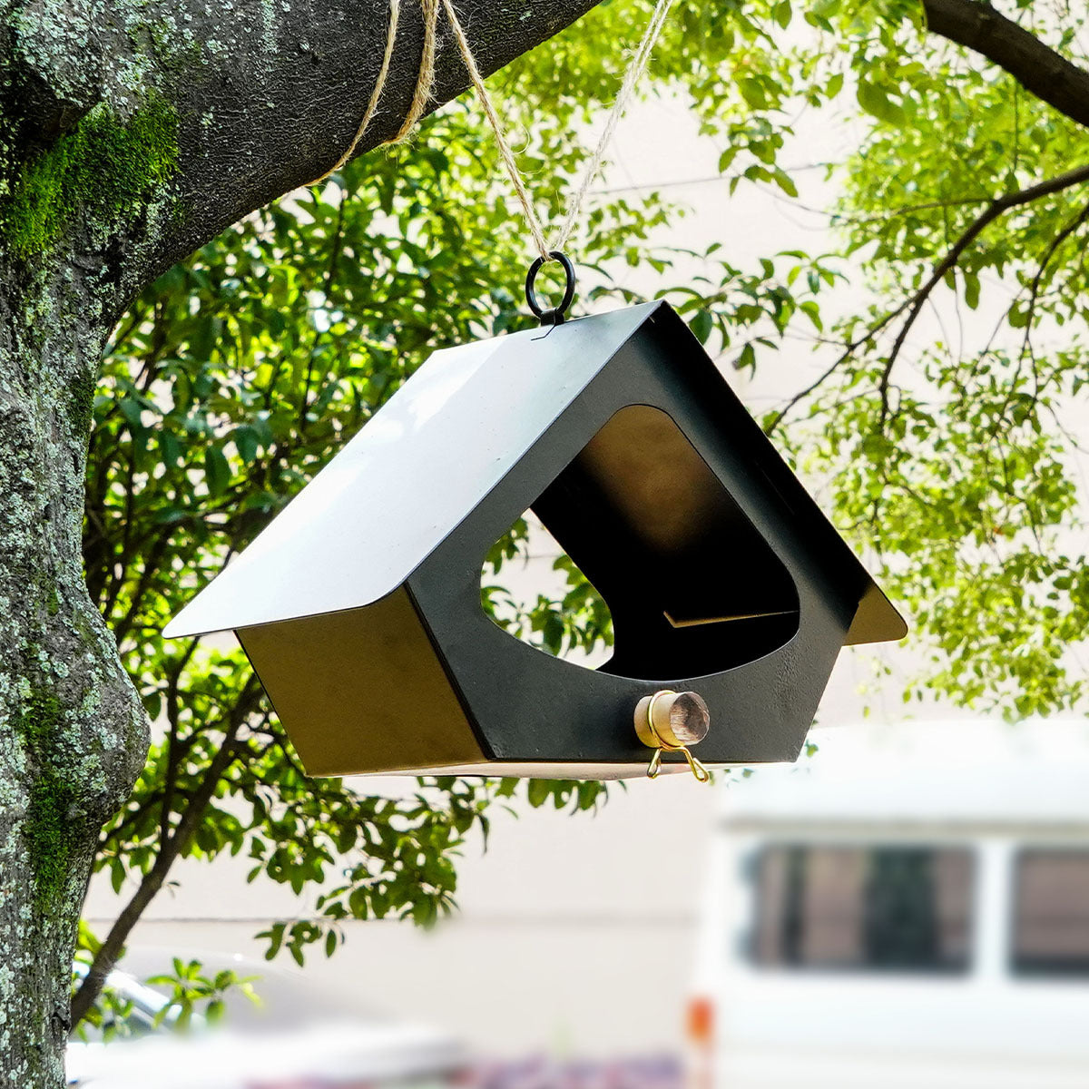 European-style Simple Iron Bird Feeder