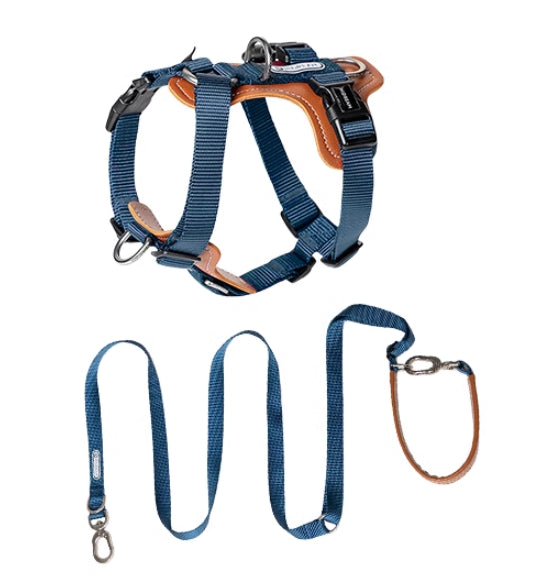 Dog Rope Leash Multi Hold Possitions Explosion-proof