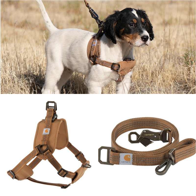 Tooling Chest Strap Dog Safety Training Belt