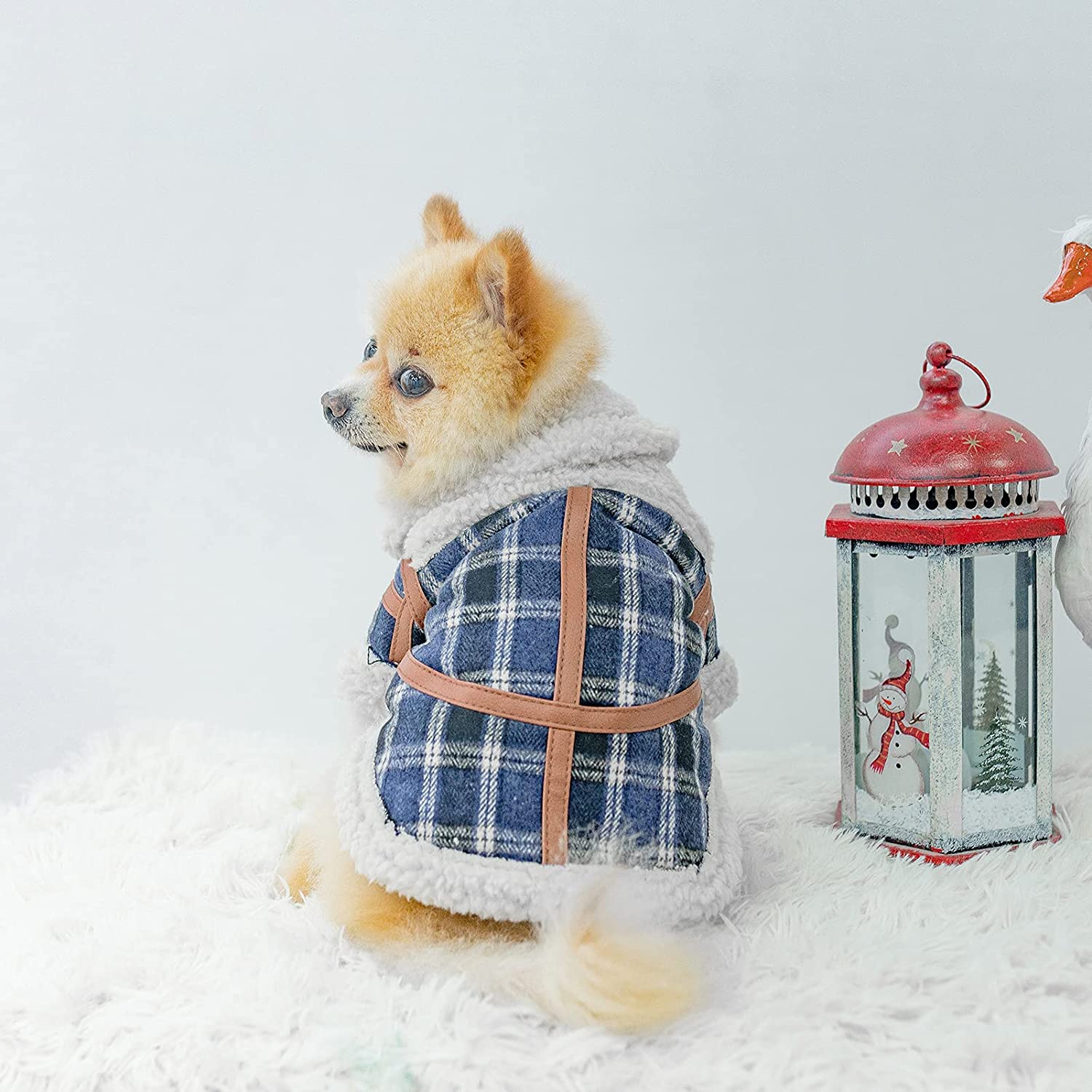 Pet Clothes Autumn