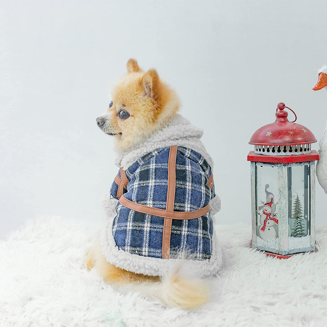Pet Clothes Autumn