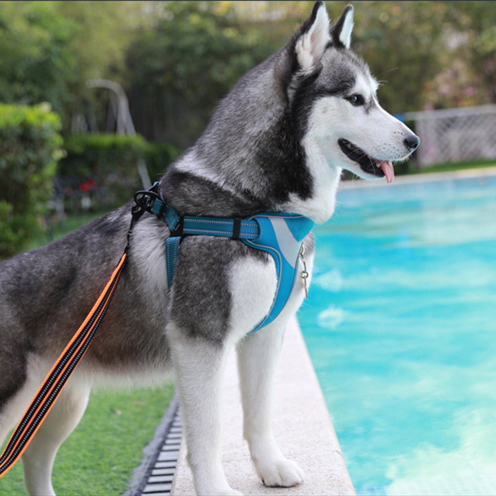 Vest Type Traction Rope Dog Chest Strap