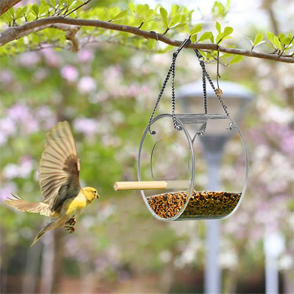 Acrylic Bird Feeder