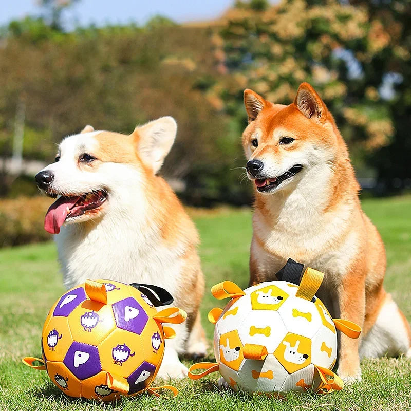 Dog Interactive Football Toys Children