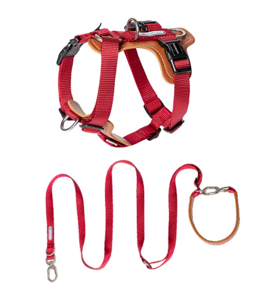 Dog Rope Leash Multi Hold Possitions Explosion-proof