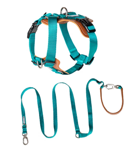 Dog Rope Leash Multi Hold Possitions Explosion-proof