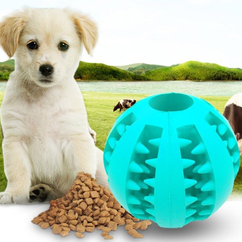 Pet Slow Feeder Dog Toy Cute