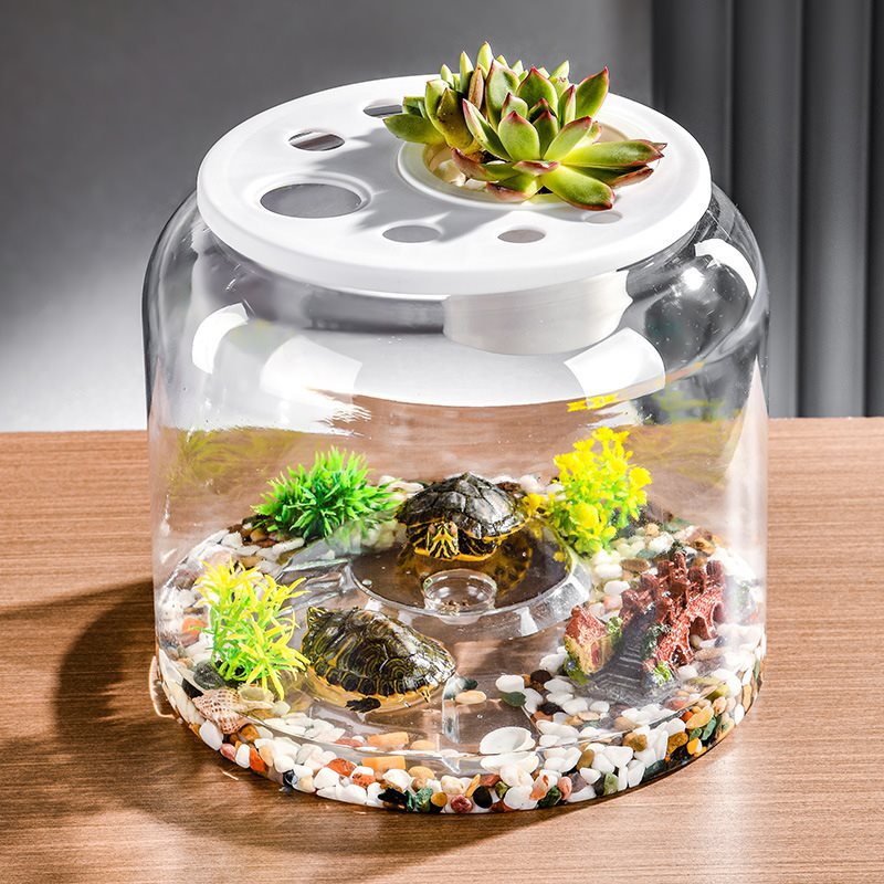Transparent Plastic Ecological Desktop