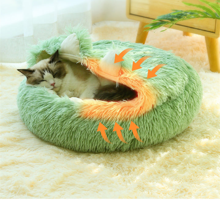 Winter Warmth Semi-closed Kitten Net Red Pet