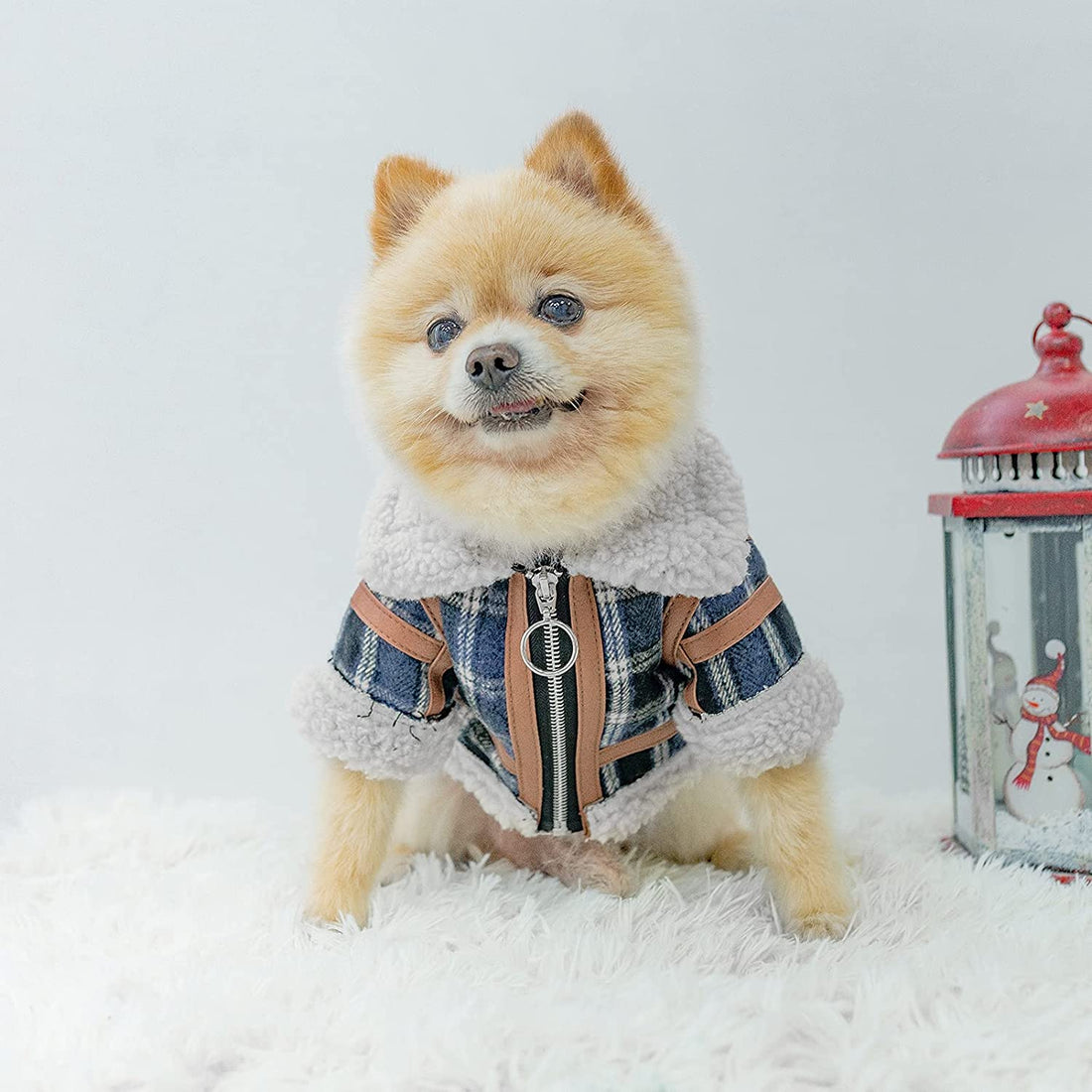 Pet Clothes Autumn