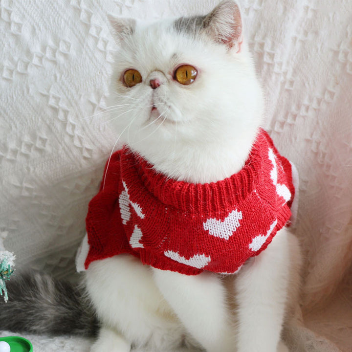 Warm Sweater Cat Christmas