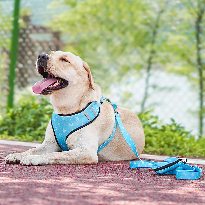 Pet Dog Leash Harness With Bow and bandana