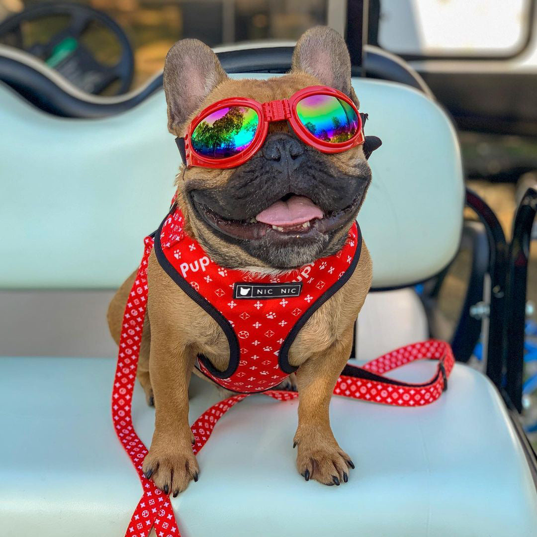 Dog Mesh Chest Leash