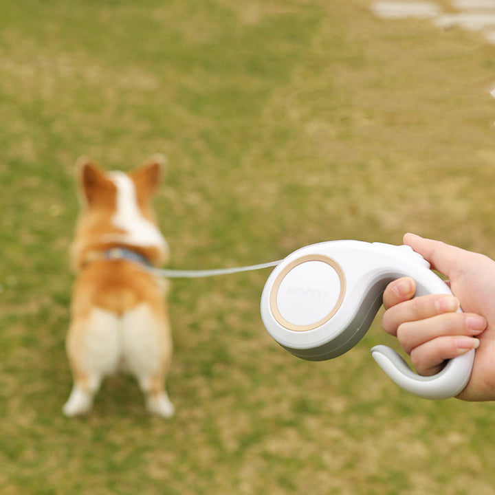 Automatic Retractable Leash