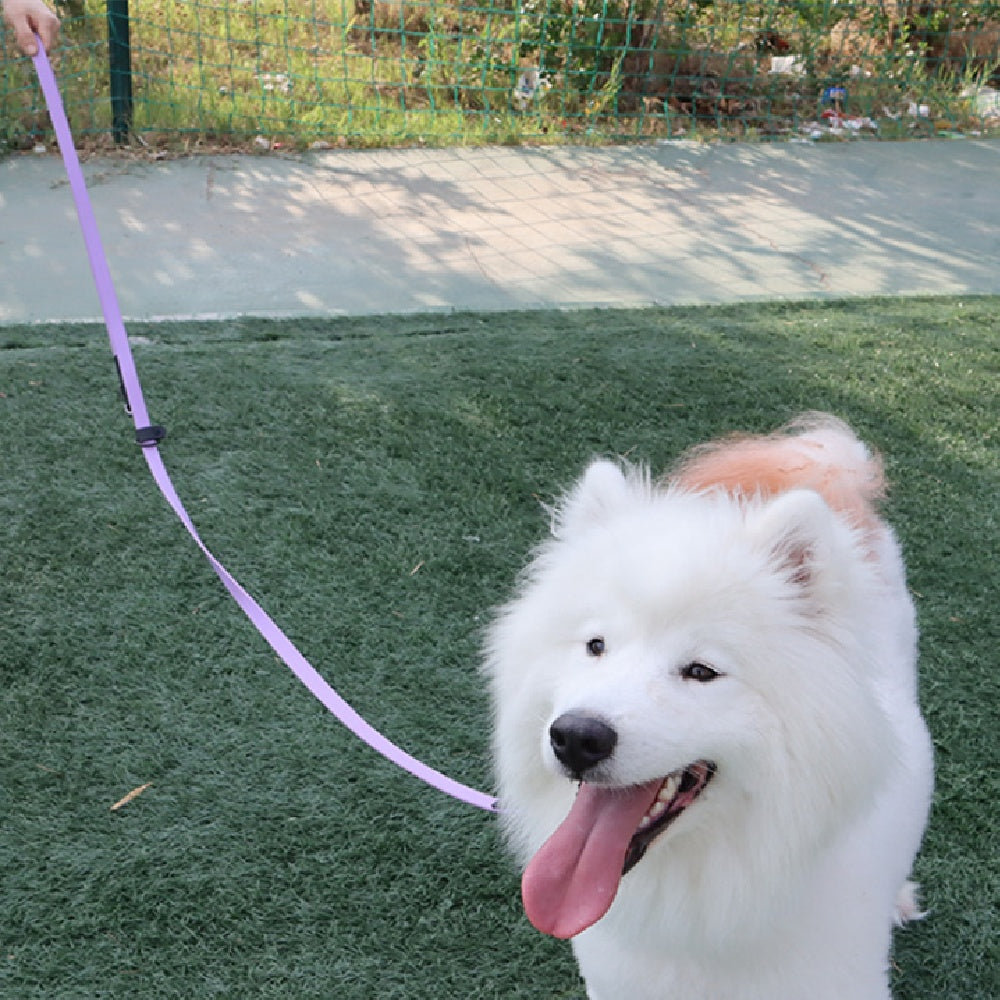 PVC Running Pet Hand Holding Rope